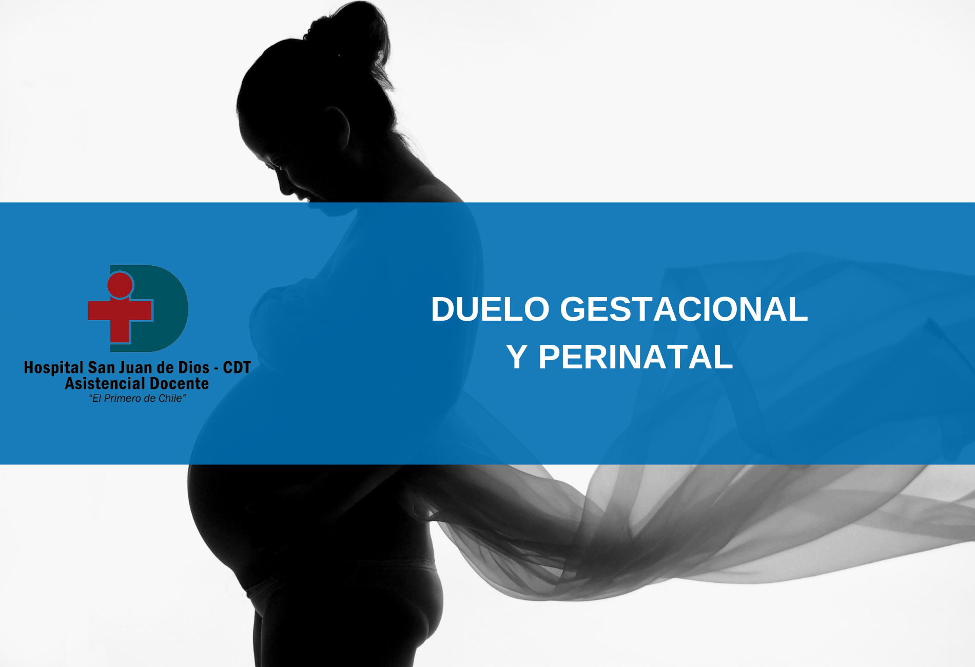 Duelo Gestacional y Perinatal